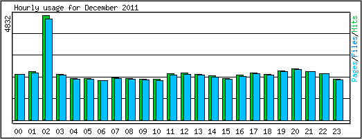 Hourly usage