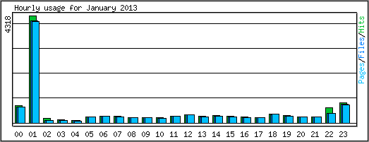 Hourly usage