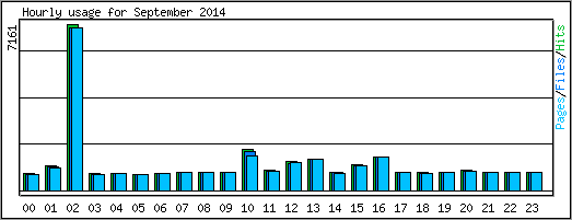 Hourly usage
