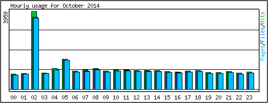 Hourly usage