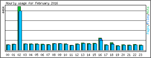 Hourly usage