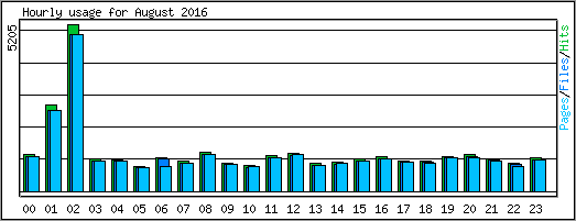 Hourly usage