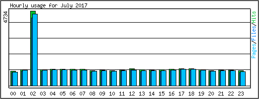 Hourly usage
