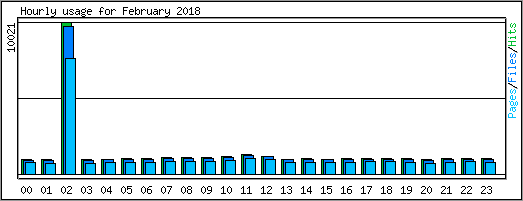 Hourly usage