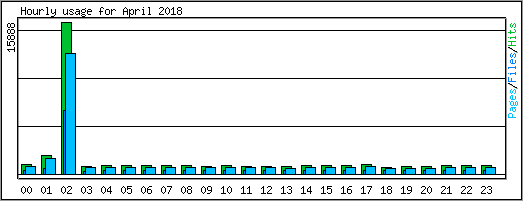 Hourly usage