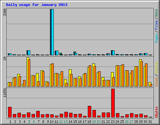 Daily usage for January 2013