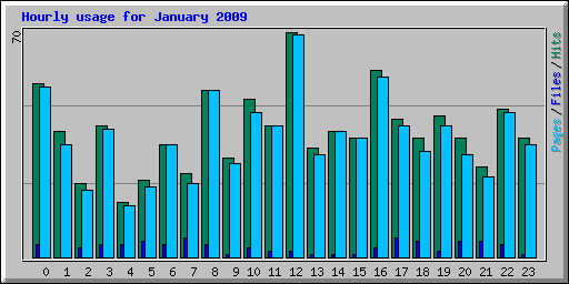 Hourly usage for January 2009