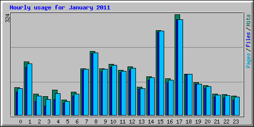 Hourly usage for January 2011