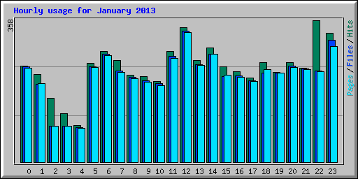 Hourly usage for January 2013