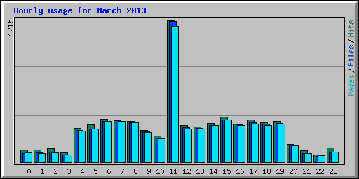 Hourly usage for March 2013