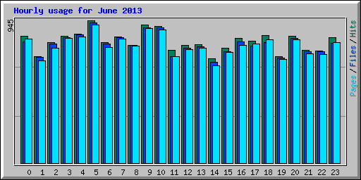 Hourly usage for June 2013