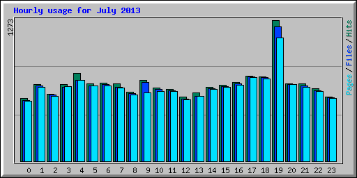 Hourly usage for July 2013