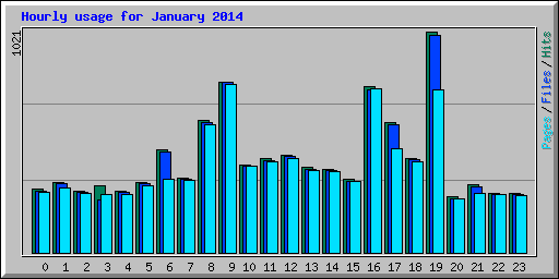 Hourly usage for January 2014