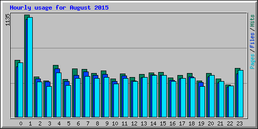 Hourly usage for August 2015