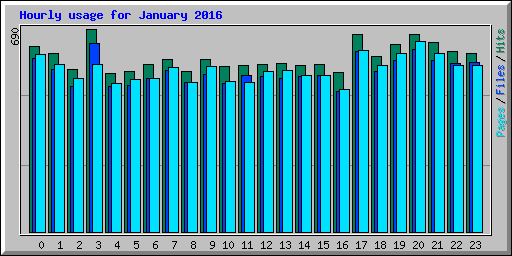 Hourly usage for January 2016