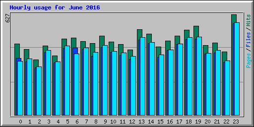 Hourly usage for June 2016
