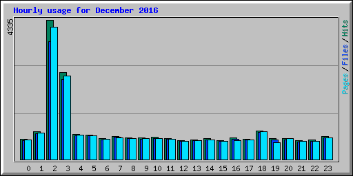 Hourly usage for December 2016