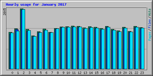 Hourly usage for January 2017